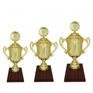 Acrylic Trophy Acrylic Trophy AC4006 Acrylic Trophy Acrylic Trophy AC4006