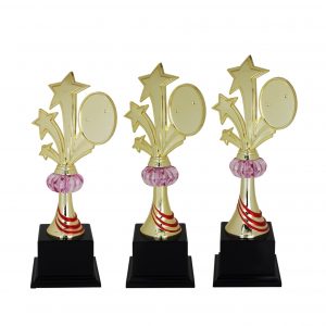 Acrylic Trophy Acrylic Star Trophy AC4014 Acrylic Trophy Acrylic Star Trophy AC4014