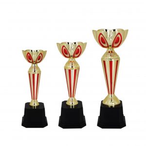 Acrylic Trophy Acrylic Trophy AC4021 Acrylic Trophy Acrylic Trophy AC4021