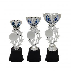 Acrylic Trophy Acrylic Star Trophy AC4023 Acrylic Trophy Acrylic Star Trophy AC4023