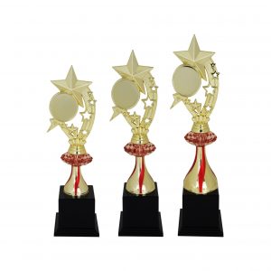 Acrylic Trophy Acrylic Star Trophy AC4025