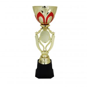 Acrylic Trophy Acrylic Trophy AC4027
