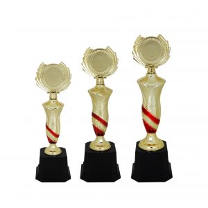 Acrylic Trophy Acrylic Trophy AC4028