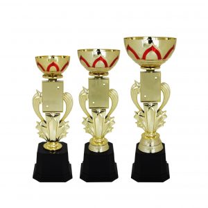 Acrylic Trophy Acrylic Star Trophy (Golden) AC4033