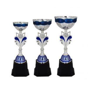 Acrylic Trophy Acrylic Trophy (Silver) AC4035