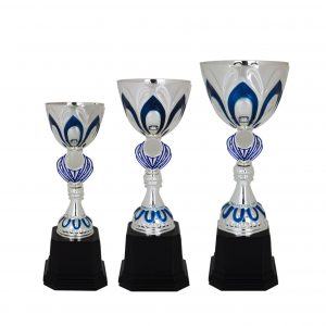 Acrylic Trophy Acrylic Trophy (Silver) AC4051 Acrylic Trophy Acrylic Trophy (Silver) AC4051