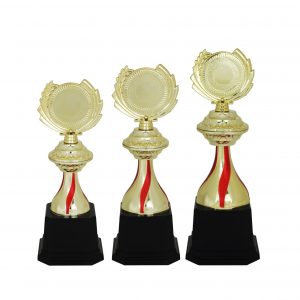 Acrylic Trophy Acrylic Trophy (Golden) AC4053