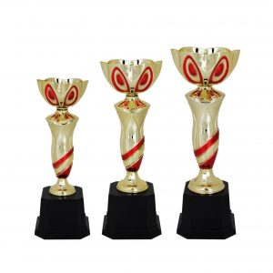 Acrylic Trophy Acrylic Trophy (Cup) AC4067 Acrylic Trophy Acrylic Trophy (Cup) AC4067