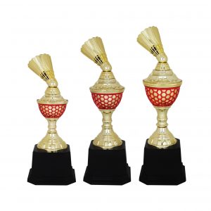 Acrylic Trophy Acrylic Badminton Trophy AC4070