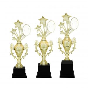 Acrylic Trophy Acrylic Star Trophy (Flower) AC4079