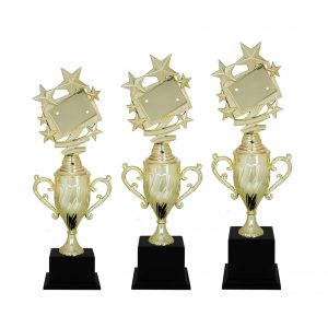 Acrylic Trophy Acrylic Star Trophy AC4080