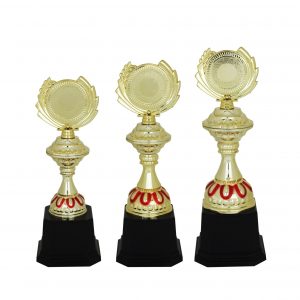 Acrylic Trophy Acrylic Trophy AC4081