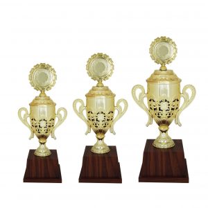 Acrylic Trophy Acrylic Trophy (Golden) AC4084