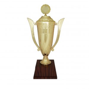 Acrylic Trophy Acrylic Trophy (Golden) AC4089