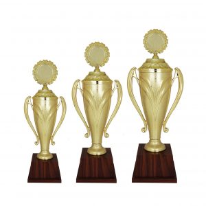 Acrylic Trophy Acrylic Trophy (Golden) AC4090