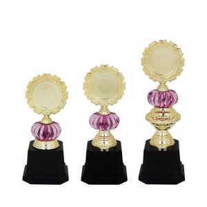 Acrylic Trophy Acrylic Trophy AC4092