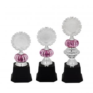 Acrylic Trophy Acrylic Trophy AC4093