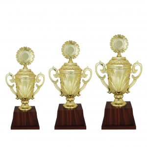 Acrylic Trophy Acrylic Trophy (Golden) AC4094