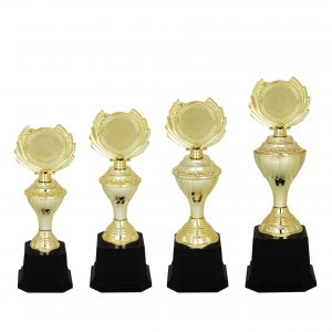 Acrylic Trophy Acrylic Trophy (Golden) AC4096