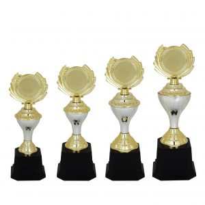 Acrylic Trophy Acrylic Trophy (Golden) AC4098