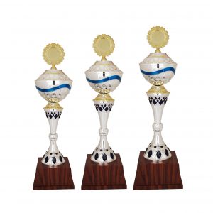 Acrylic Trophy Acrylic Trophy AC4101
