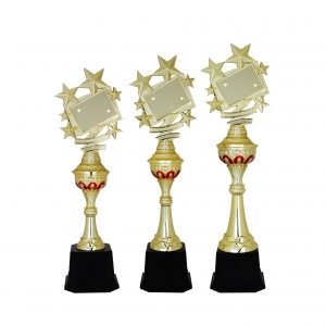 Acrylic Trophy Acrylic Star Trophy AC4103
