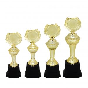 Acrylic Trophy Acrylic Trophy (Golden) AC4104