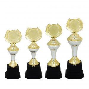 Acrylic Trophy Acrylic Trophy AC4106