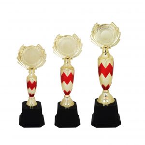 Acrylic Trophy Acrylic Trophy AC4112