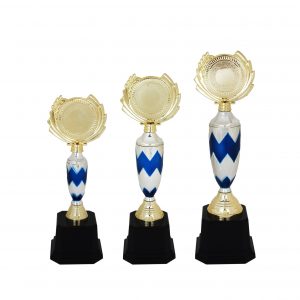 Acrylic Trophy Acrylic Trophy AC4113