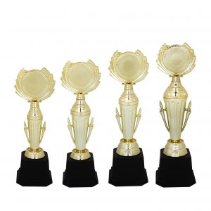 Acrylic Trophy Acrylic Trophy AC4114