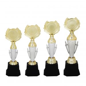 Acrylic Trophy Acrylic Trophy AC4116