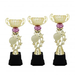 Acrylic Trophy Star Trophy AC4119