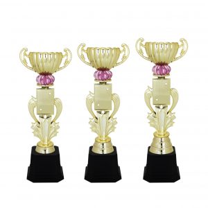 Acrylic Trophy Star Trophy AC4120
