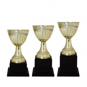 Acrylic Trophy Acrylic Trophy AC4121