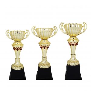 Acrylic Trophy Acrylic Trophy AC4123 Acrylic Trophy Acrylic Trophy AC4123