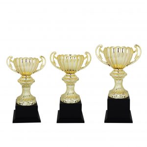 Acrylic Trophy Acrylic Trophy AC4124 Acrylic Trophy Acrylic Trophy AC4124