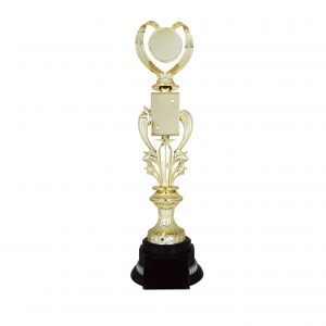 Acrylic Trophy Star Trophy (Love) AC4127