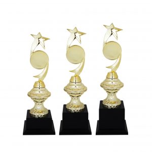 Acrylic Trophy Star Trophy AC4128