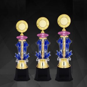 Acrylic Trophy Acrylic Trophy AC4129