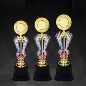Acrylic Trophy Acrylic Trophy AC4132