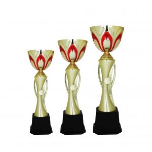 Acrylic Trophy Acrylic Trophy AC4189 Acrylic Trophy Acrylic Trophy AC4189