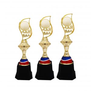 Acrylic Trophy Acrylic Trophy AC4204