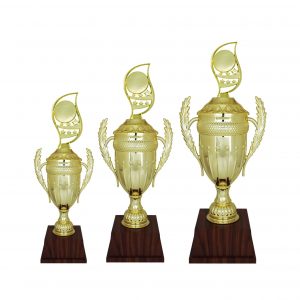 Acrylic Trophy Acrylic Trophy AC4206