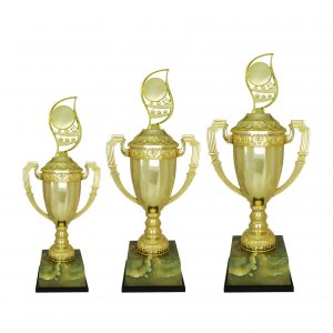 Acrylic Trophy Acrylic Trophy AC4207