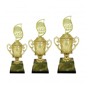 Acrylic Trophy Acrylic Trophy AC4208