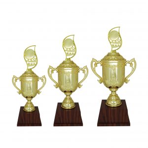 Acrylic Trophy Acrylic Trophy AC4209