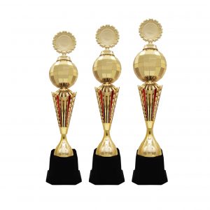 Acrylic Trophy Acrylic Trophy AC4210