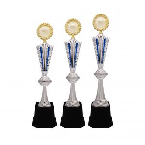 Acrylic Trophy Acrylic Trophy AC4211