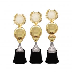 Acrylic Trophy Acrylic Trophy AC4214